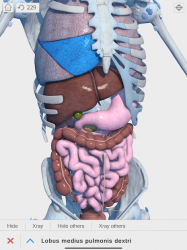 Captura de Pantalla 11 Visual Anatomy 3D - Human android