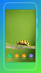 Screenshot 12 Ladybird Wallpaper android