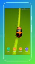 Imágen 10 Ladybird Wallpaper android
