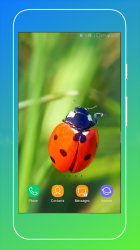 Screenshot 6 Ladybird Wallpaper android