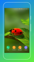 Imágen 4 Ladybird Wallpaper android