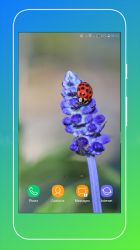 Captura 8 Ladybird Wallpaper android