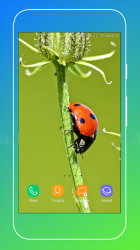 Captura 11 Ladybird Wallpaper android