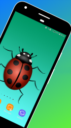 Imágen 3 Ladybird Wallpaper android