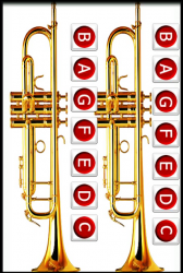 Screenshot 6 🎺Aprende Tocar Trompeta facil. Curso de trompeta android