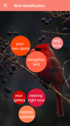 Screenshot 2 Bird Identification android