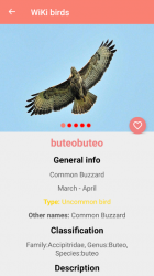 Imágen 5 Bird Identification android