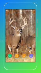 Imágen 5 Deer Wallpapers android