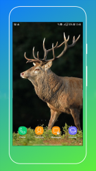 Captura de Pantalla 14 Deer Wallpapers android