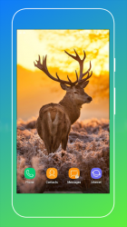 Captura 9 Deer Wallpapers android