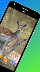 Captura 3 Deer Wallpapers android