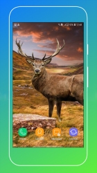 Screenshot 13 Deer Wallpapers android