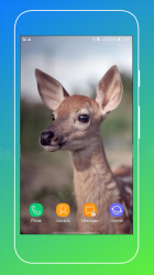 Imágen 4 Deer Wallpapers android