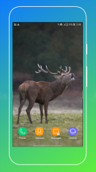 Imágen 12 Deer Wallpapers android