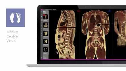 Captura 3 Virtual Cadaver Anatomy Lab - Athena Hub windows