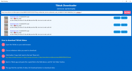 Screenshot 3 Tiktok Download 10 windows