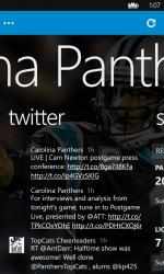 Captura de Pantalla 3 Carolina Panthers windows