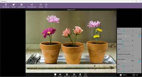 Captura de Pantalla 2 Webcam Pro windows