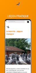 Screenshot 5 Pigeon-Voyageur.eu android