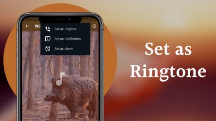 Screenshot 5 WildBoar Sounds - Hunting call android