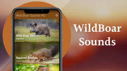 Screenshot 3 WildBoar Sounds - Hunting call android