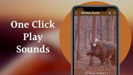 Capture 7 WildBoar Sounds - Hunting call android