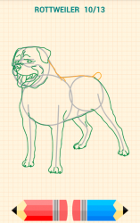 Captura 12 Cómo Dibujar Perros android