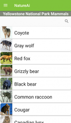 Captura 8 Yellowstone Mammal Identifier android