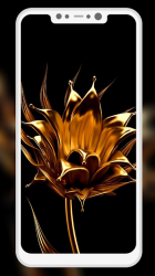 Screenshot 11 Gold Wallpaper android