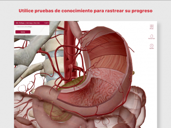 Screenshot 7 Anatomía & Fisiología android