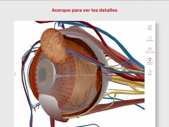Captura de Pantalla 10 Anatomía & Fisiología android