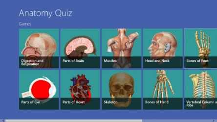 Image 1 Anatomy Quiz windows