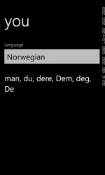 Screenshot 2 Offline translator windows