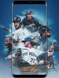 Screenshot 2 Baseball Wallpaper android