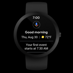 Screenshot 10 Smartwatch Wear OS by Google (antes Android Wear) android
