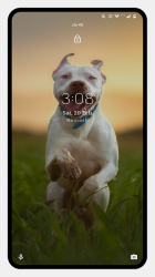 Imágen 4 Pitbull Dog Wallpaper android