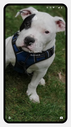 Captura de Pantalla 5 Pitbull Dog Wallpaper android