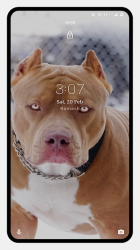 Captura de Pantalla 8 Pitbull Dog Wallpaper android