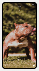 Captura 6 Pitbull Dog Wallpaper android