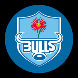 Image 1 Blue Bulls android
