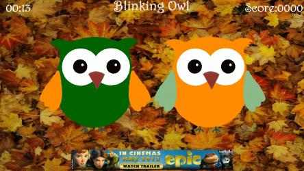 Imágen 1 Blinking Owl windows