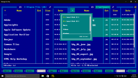 Screenshot 11 Manager for Files windows