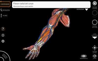 Screenshot 7 Anatomía - Atlas 3D windows