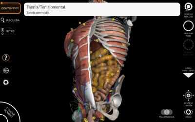 Captura 1 Anatomía - Atlas 3D windows