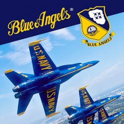 Imágen 1 Blue Angels: Aerobatic Flight Simulator android