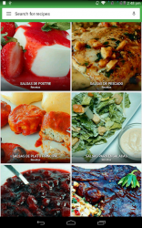 Screenshot 7 recetas de salsa gratis android