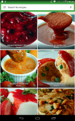 Captura 12 recetas de salsa gratis android