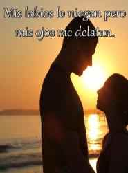 Capture 2 Frases de Amor Prohibido android