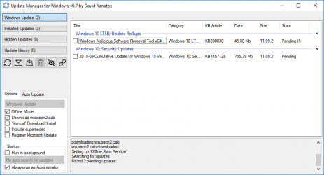 Captura 1 Update Manager for Windows windows