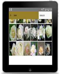 Screenshot 10 Rosas blancas hermosas android